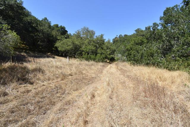 0 Alexander Lane, San Juan Bautista CA: https://media.crmls.org/mediaz/e9448f53-2d91-4cab-8d54-94910dece2f1.jpg