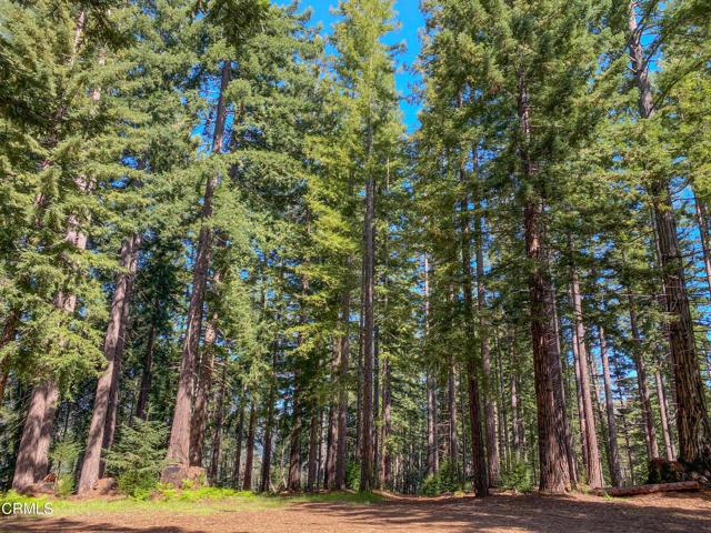 Detail Gallery Image 10 of 49 For 13740 Peregrine Rd, Boonville,  CA 95415 - – Beds | – Baths