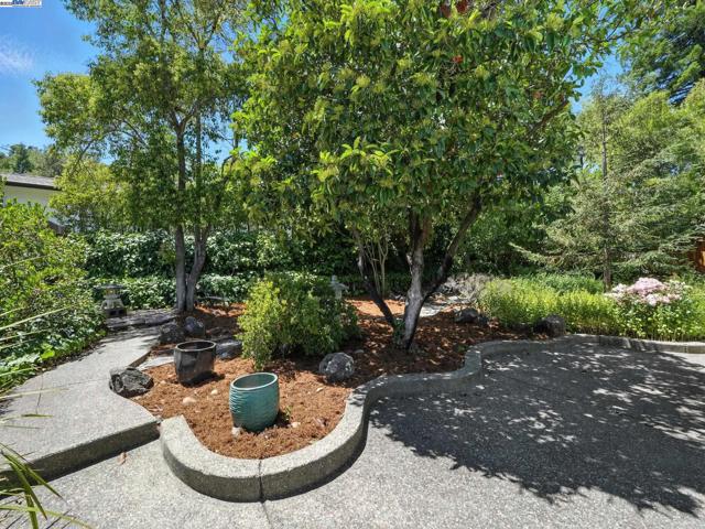 160 Moraga Way, Orinda CA: https://media.crmls.org/mediaz/e95eb716-9983-4603-9202-54d2474b679b.jpg