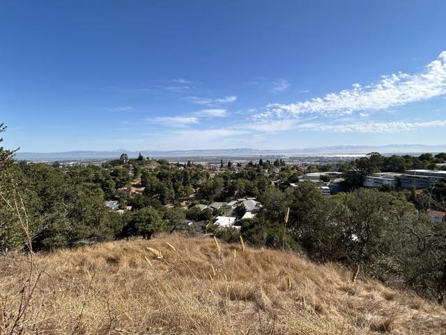 0 Winding Way, San Carlos CA: https://media.crmls.org/mediaz/e962c717-370b-405d-8c66-93b56e3d27a9.jpg