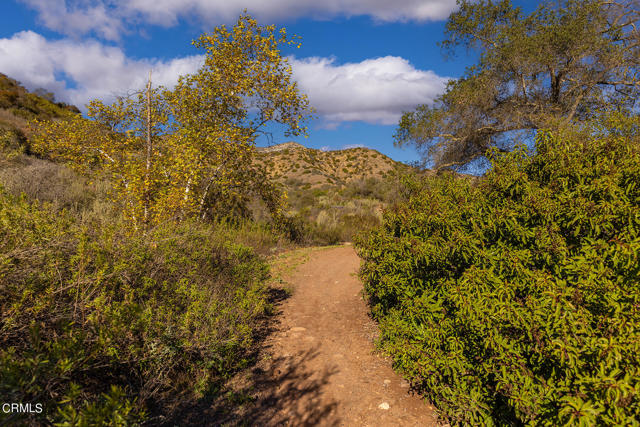 380 Valley View Road, Ojai, California 93023, ,Land,For Sale,380 Valley View Road,CRV1-21530