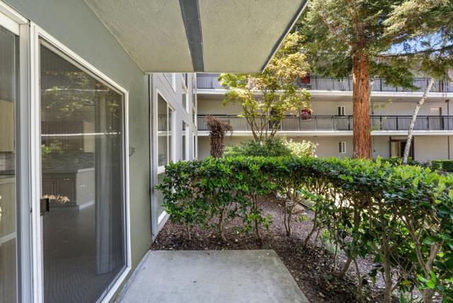 Drew Fenton | 183 Del Medio Avenue Mountain View CA | MLS: 7159607