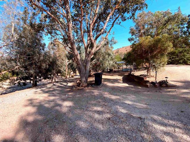 31733 Lake Meadow Rd, Acton CA: https://media.crmls.org/mediaz/e97197f0-4d0a-4e9a-830f-37c2c24fd9b2.jpg