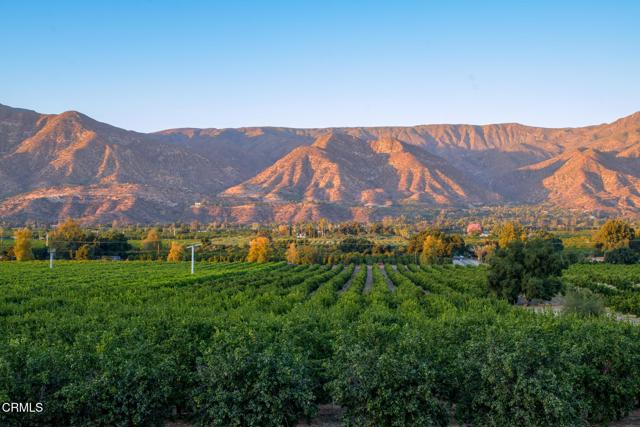 Detail Gallery Image 3 of 34 For 3000 E Ojai Ave, Ojai,  CA 93023 - 4 Beds | 3/1 Baths