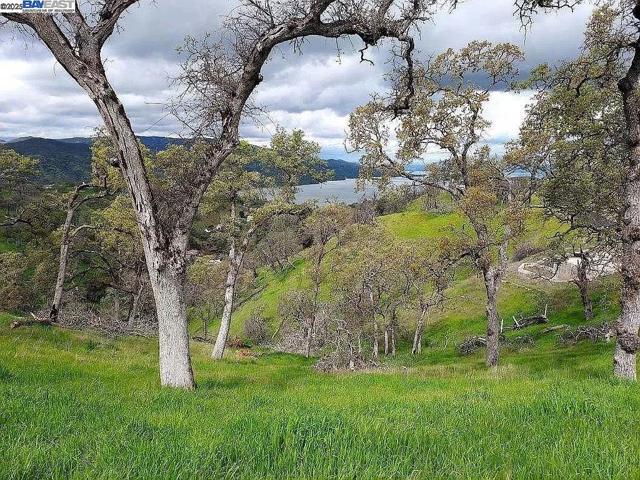 1123 Headlands Drive, Napa CA: https://media.crmls.org/mediaz/e97eba99-757d-410d-a7b2-26e8aeed9038.jpg