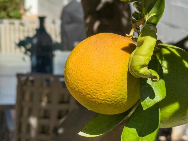 75377 Montecito Drive, Indian Wells CA: https://media.crmls.org/mediaz/e98cebbd-b431-4839-8c84-ad91d2c8a33c.jpg