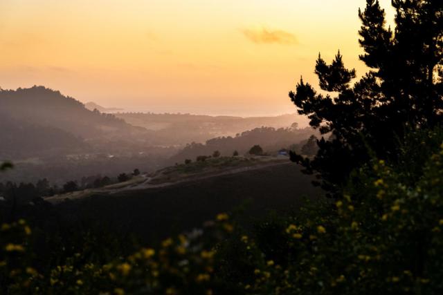 42 Tehama (Lot 23), Carmel CA: https://media.crmls.org/mediaz/e9920ce7-b24e-4027-80ba-2dc2d0f703bd.jpg