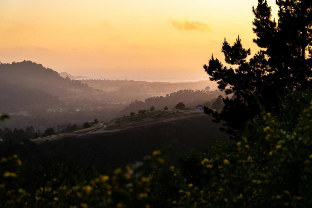 MLS #ML82011000 image #12