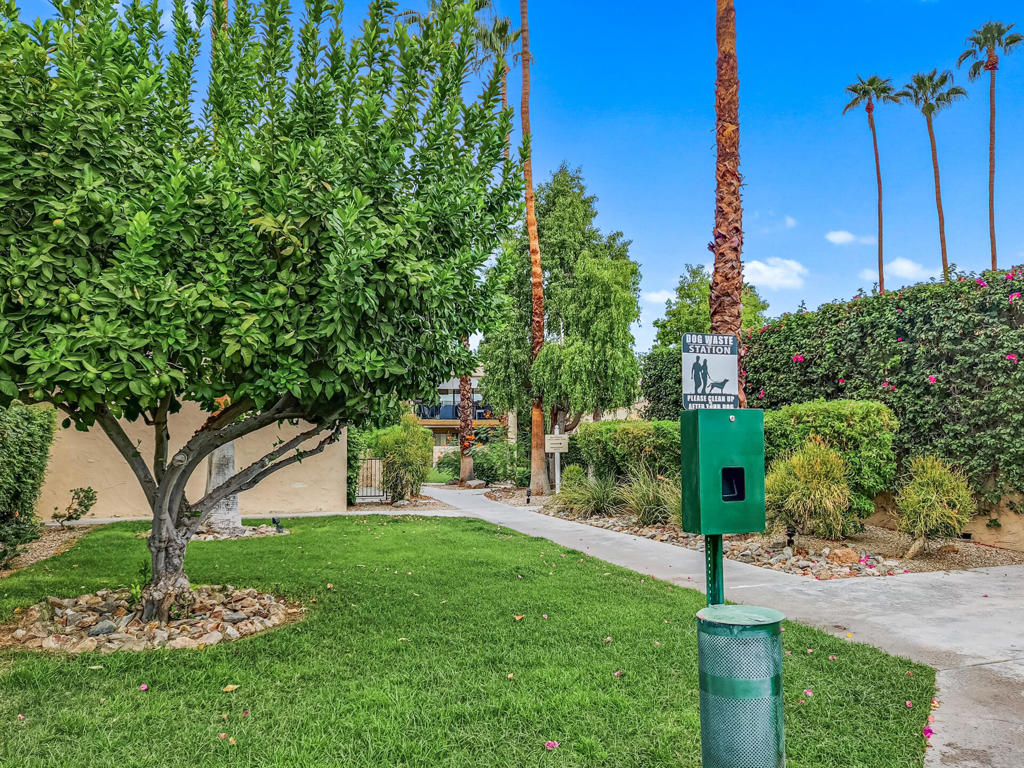 MLS #219134461DA image #30