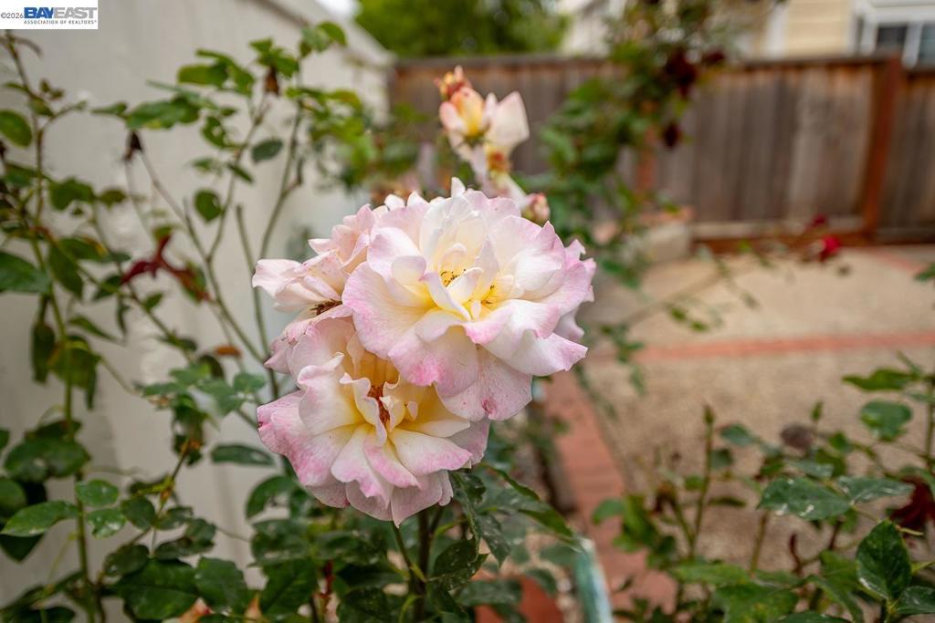 https://media.crmls.org/mediaz/e9a3fc26-b439-48bd-b88f-d7558dc79263.jpg?preset=X-Large