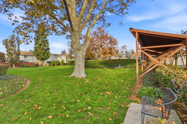 1107 Reed Avenue, Sunnyvale CA: https://media.crmls.org/mediaz/e9a97b95-4c56-49f7-8c6b-aed147930cb2.jpg