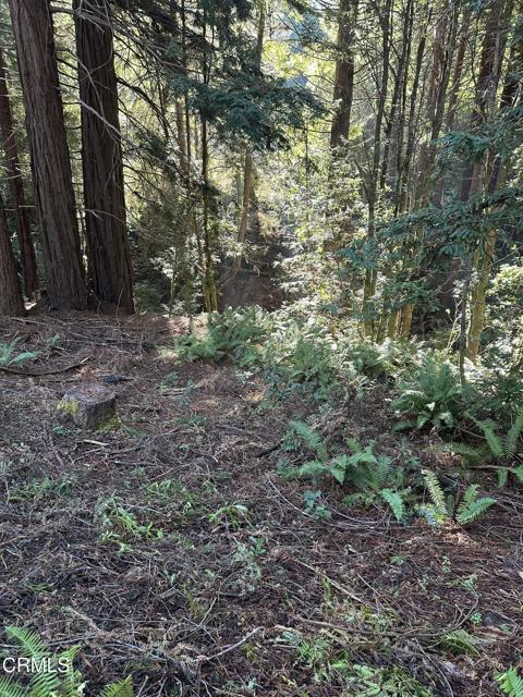 Front Image Thumbnail for CRC1-11310