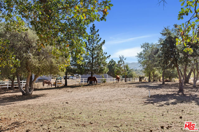 Image 36 of 59 For 28765 Pine Canyon Road