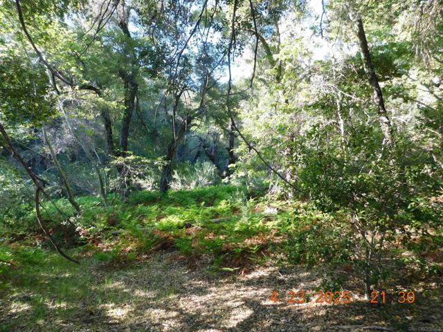 0 San Felipe Rd,  CA: https://media.crmls.org/mediaz/e9b28180-c064-4bde-b88d-d7dc0012be1d.jpg