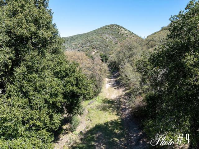 44175 Carmel Valley, Greenfield CA: https://media.crmls.org/mediaz/e9b8758f-6960-4f2f-8741-703dee715da7.jpg