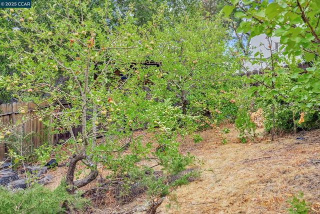 92 Gaywood Pl, Moraga CA: https://media.crmls.org/mediaz/e9bd96af-fe58-467d-8726-0b929d696392.jpg