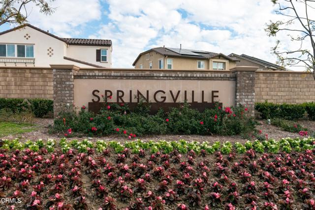 web_Springville-18