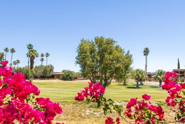 Detail Gallery Image 3 of 22 For 1471 De Anza Dr, Borrego Springs,  CA 92004 - 2 Beds | 2 Baths