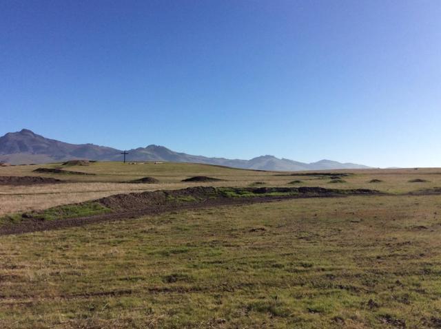 0 Coppa Court, Hollister CA: https://media.crmls.org/mediaz/e9c70dbe-20a9-484c-b7e5-67cae11c5f17.jpg