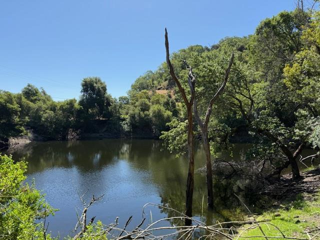 14056 Uvas Road, Morgan Hill CA: https://media.crmls.org/mediaz/e9d53447-30a5-4da5-ac16-00af1b0db1bb.jpg