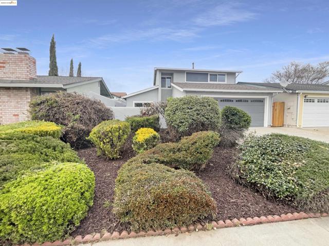 883 Calle De Verde, San Jose CA: https://media.crmls.org/mediaz/e9efef01-9de7-4f64-9920-d2a77552fdea.jpg