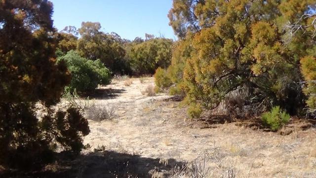 Detail Gallery Image 12 of 41 For 37245 Old Forest Rd, Anza,  CA 92539 - – Beds | – Baths