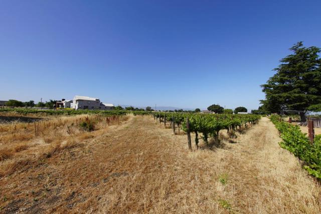 160 Tevis Trail, Hollister CA: https://media.crmls.org/mediaz/e9fb4da2-62df-4162-bfbf-fa1224de376f.jpg