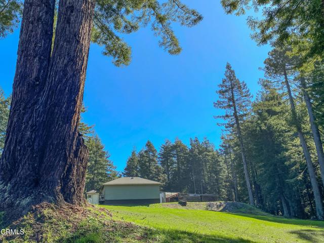 15137 Mitchell Creek Drive, Fort Bragg CA: https://media.crmls.org/mediaz/ea0dc7ea-9dc8-4df6-acf0-427a6296022e.jpg