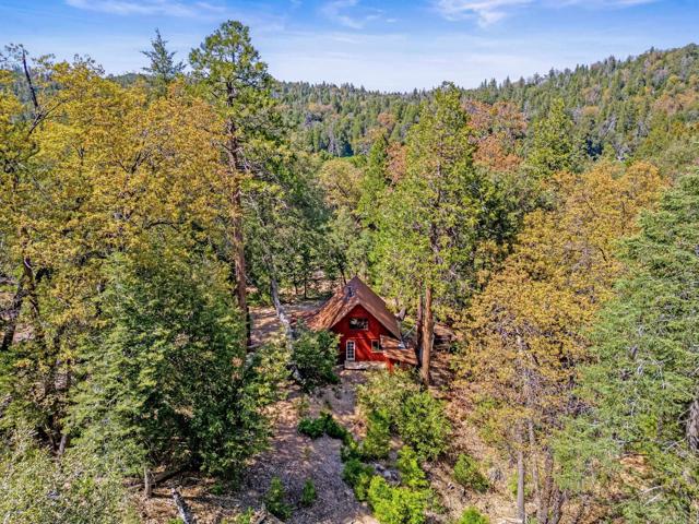 Detail Gallery Image 2 of 30 For 14 +/- Acres Palomar Divide Truck Trl, Palomar Mountain,  CA 92060 - – Beds | – Baths