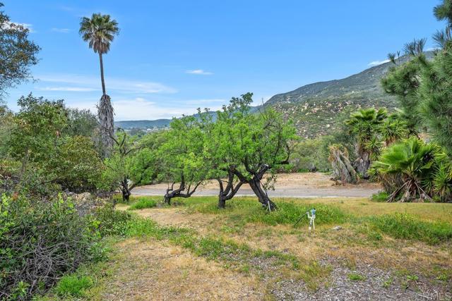 Detail Gallery Image 56 of 61 For 15088 Lyons Valley Rd, Jamul,  CA 91935 - 3 Beds | 2/1 Baths