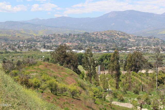 Detail Gallery Image 8 of 15 For 17000 S Mountain Rd, Santa Paula,  CA 93060 - – Beds | – Baths