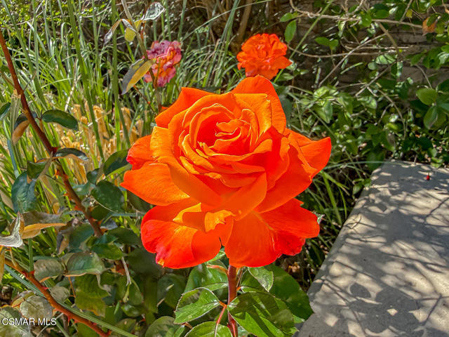 Image 56 of 67 For 388 Via Cresta