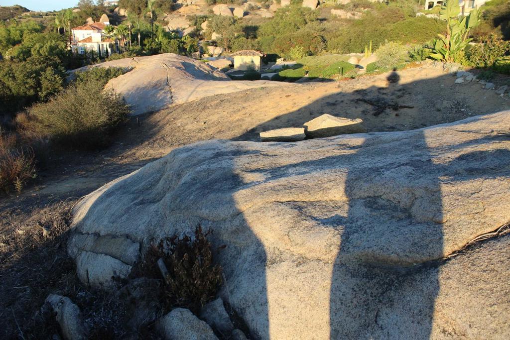 MLS #NDP2510463 image #12