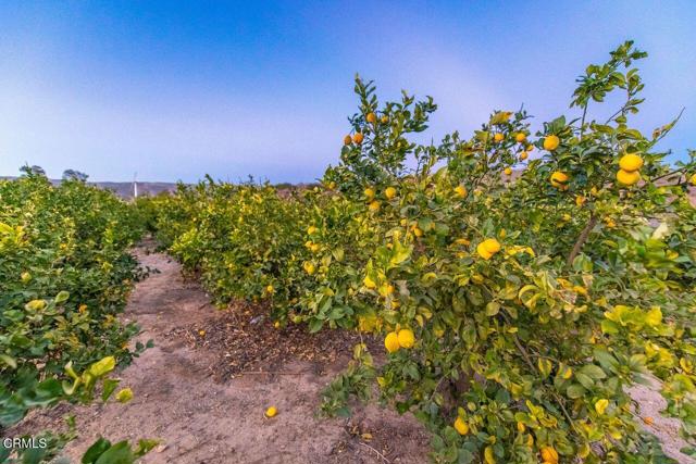 Detail Gallery Image 70 of 75 For 14855 Middle Ranch Rd, Moorpark,  CA 93021 - 3 Beds | 2 Baths