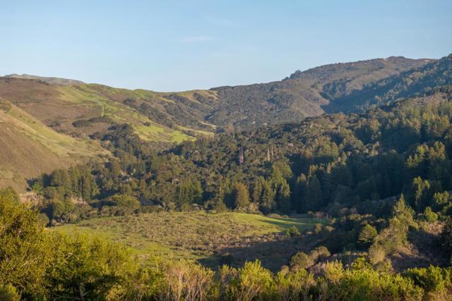 17 Rancho San Carlos Road (Lot 4), Carmel CA: https://media.crmls.org/mediaz/ea6deba6-f041-46c3-af70-b91e90a89146.jpg