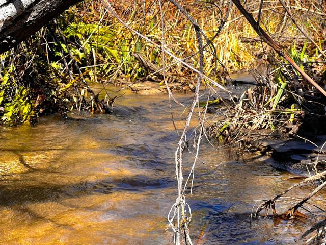 11035 Empire Grade, Santa Cruz CA: https://media.crmls.org/mediaz/ea6e82de-fbae-45b1-9d1d-be33aa3d9a4d.jpg