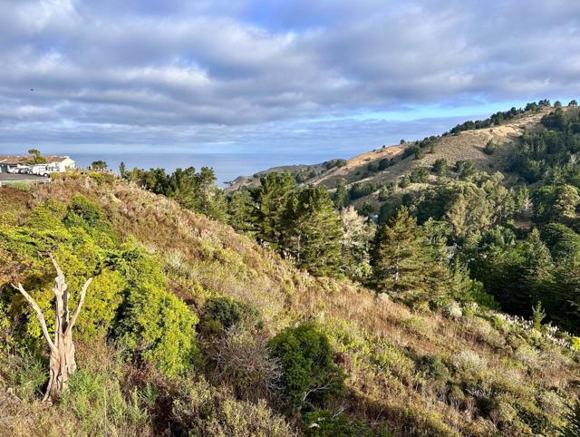 945 Fassler Avenue, Pacifica CA: https://media.crmls.org/mediaz/ea789e85-b343-4dee-a1bd-108fe3dc188b.jpg