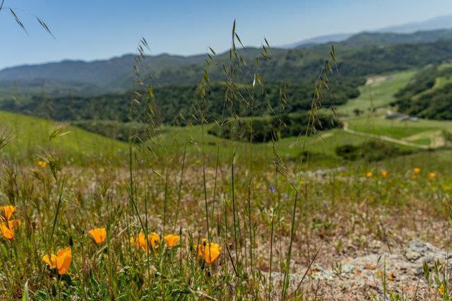100 Old Stage Rd, San Juan Bautista CA: https://media.crmls.org/mediaz/ea7a9ce5-300e-4c16-9176-6543fe596a04.jpg