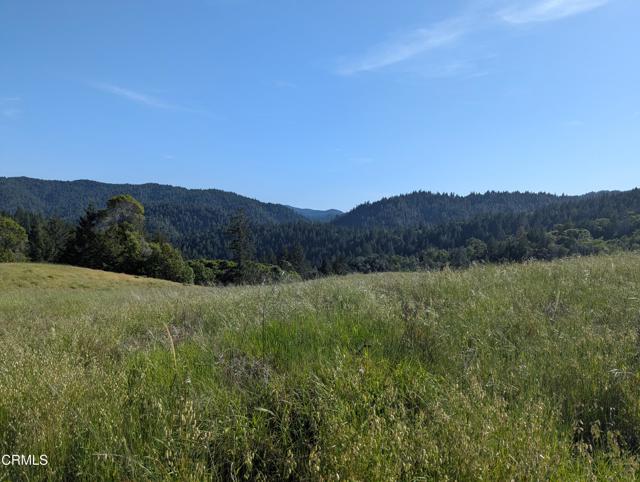 Detail Gallery Image 49 of 49 For 22346 Rickard Ranch Rd, Point Arena,  CA 95468 - – Beds | – Baths
