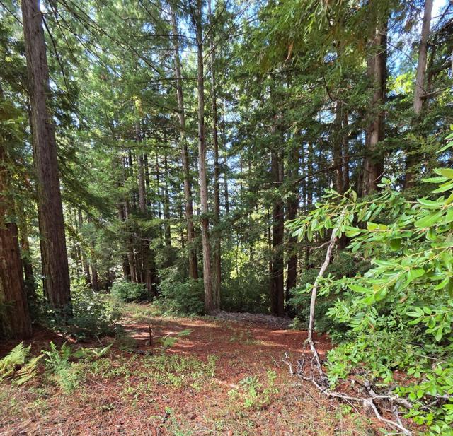 1140 Warren Drive, Santa Cruz CA: https://media.crmls.org/mediaz/ea87c54c-f10a-4b6e-ada8-992996abc804.jpg