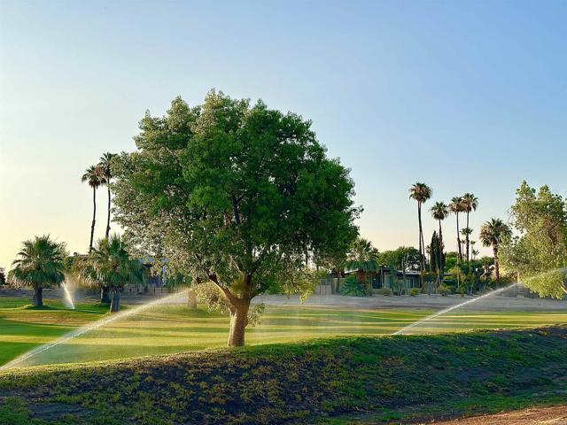 Detail Gallery Image 23 of 26 For 1471 De Anza Dr, Borrego Springs,  CA 92004 - 2 Beds | 2 Baths
