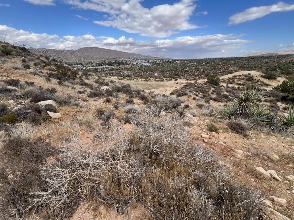 MLS #219138996DA image #5