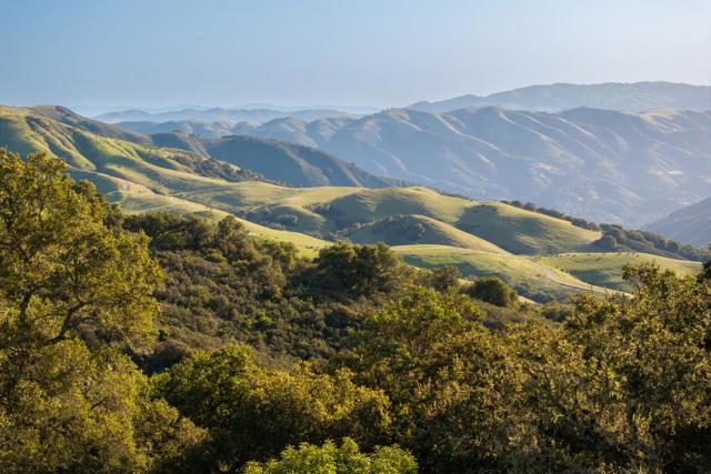 52 Chamisal Pass (Lot 136), Carmel CA: https://media.crmls.org/mediaz/ea8da270-d253-4019-9d53-0bc529ca4102.jpg