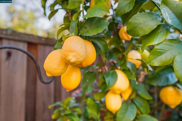 Image 50 of 60 For 34 Elmwood Dr