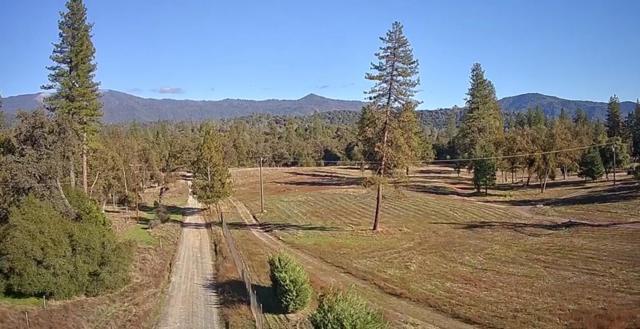 2795 State Highway 49, Mariposa CA: https://media.crmls.org/mediaz/ea9b77eb-0444-4963-9500-454e0a3fa753.jpg