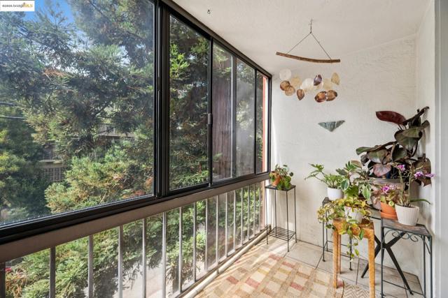 250 Whitmore St, Oakland CA: https://media.crmls.org/mediaz/eaa36c94-3777-4944-be55-a45c9ce13fea.jpg