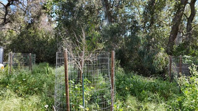 Detail Gallery Image 34 of 60 For 9237 Harmony Grove, Escondido,  CA 92029 - 3 Beds | 2/1 Baths