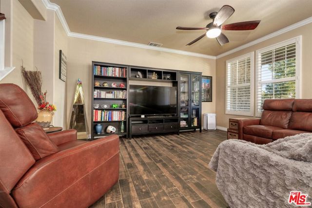 28529 Pietro Drive photo 7