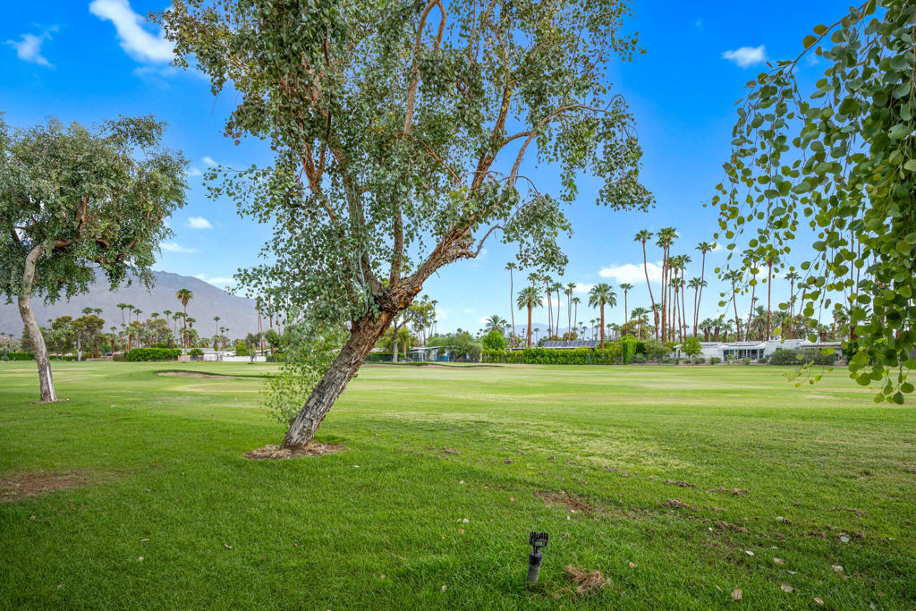 MLS #219134461DA image #22