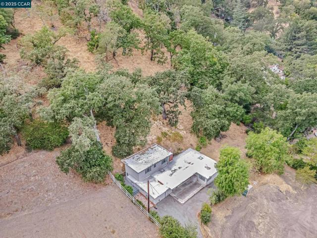 2435 Lunada Ln, Alamo CA: https://media.crmls.org/mediaz/eac9f09a-4837-48c6-8d50-9d6e9e2842d9.jpg